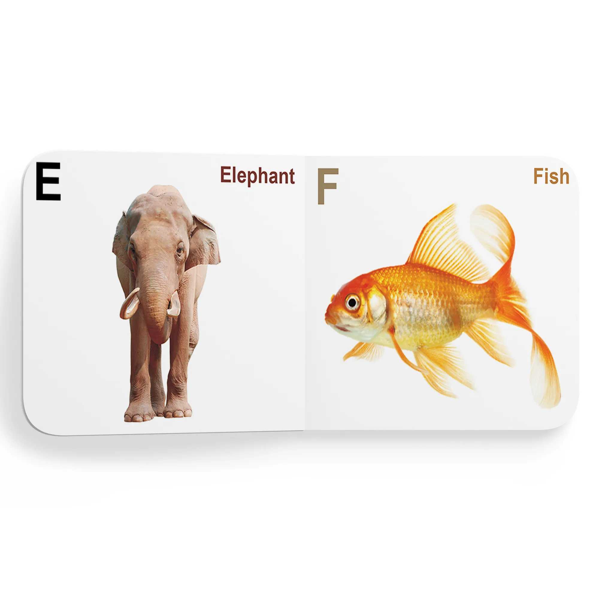 My First Tiny Board Book Alphabet Board Book,