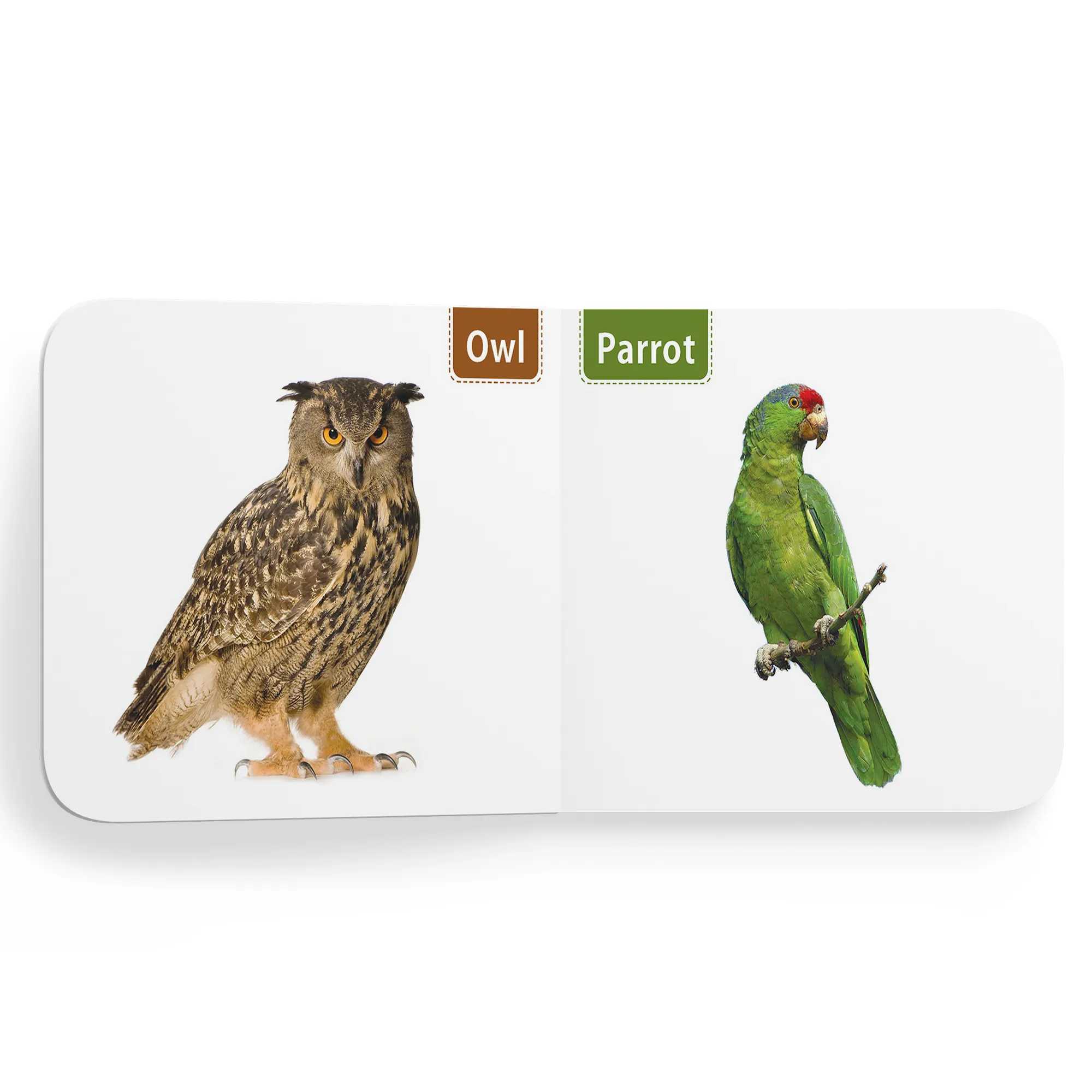 My First Tiny Board Books - Set Of 2 Books - Birds And Wild Animals & Domestic Animals For Kids Hardcover,   