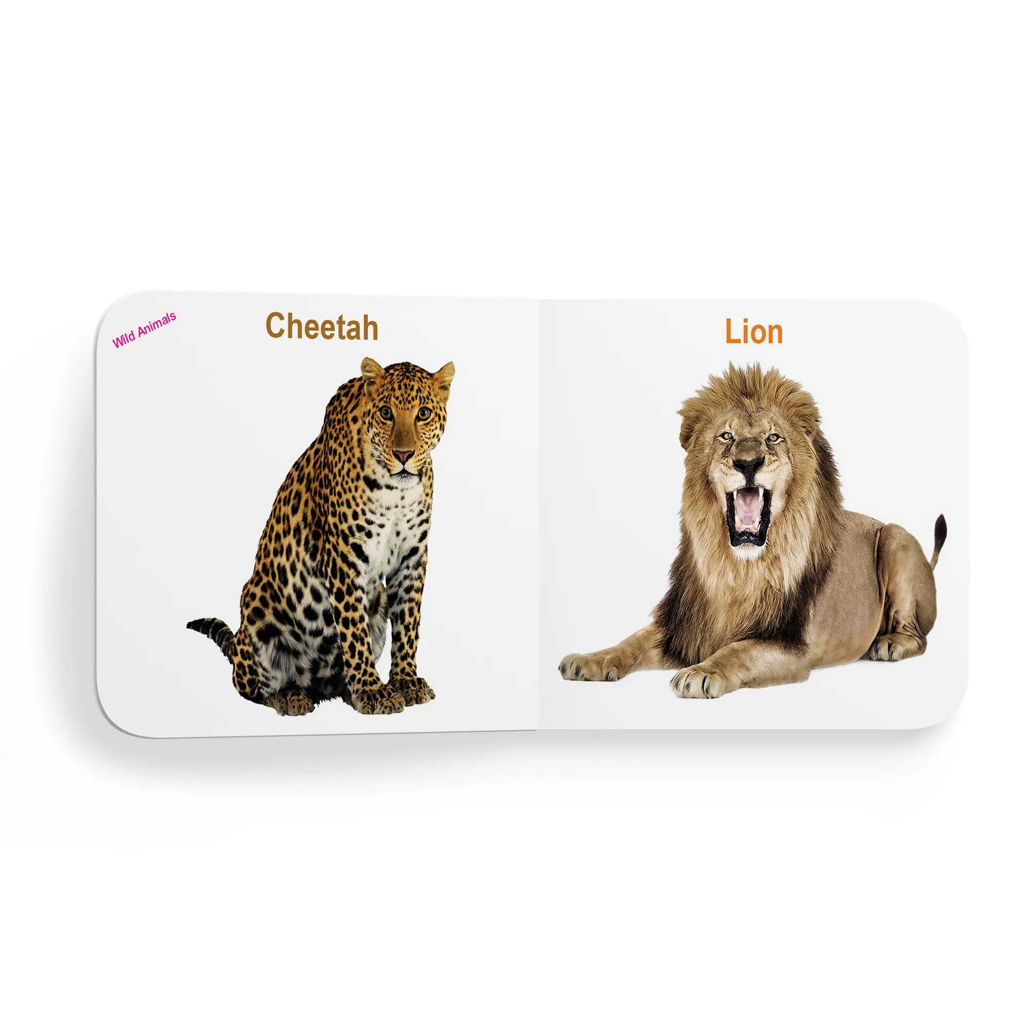 My First Tiny Board Book - Wild Animals & Domestic Animal Books For Kids