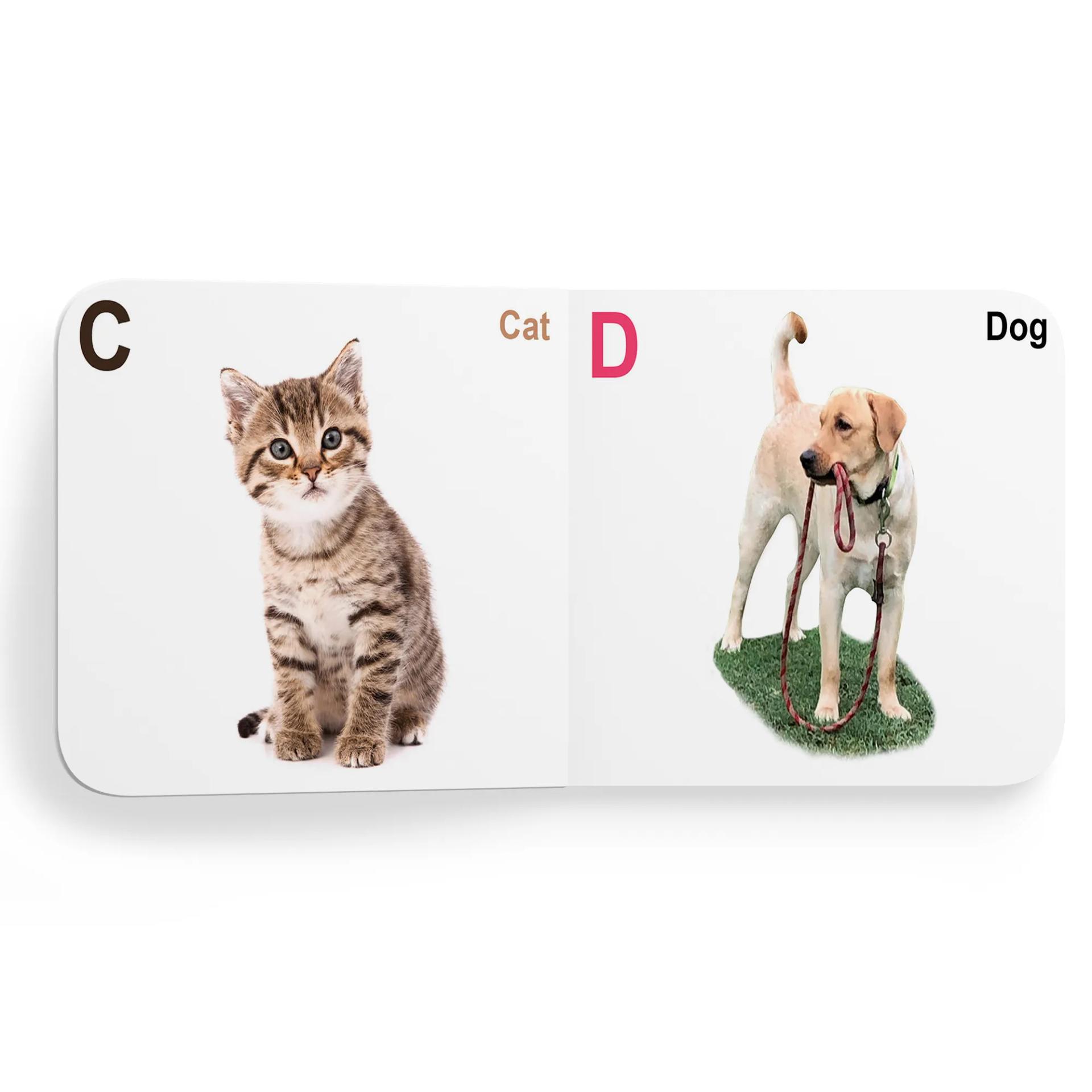 My First Tiny Board Books - Set Of 2 Books - Alphabet And Numbers For Kids Hardcover,    - 5