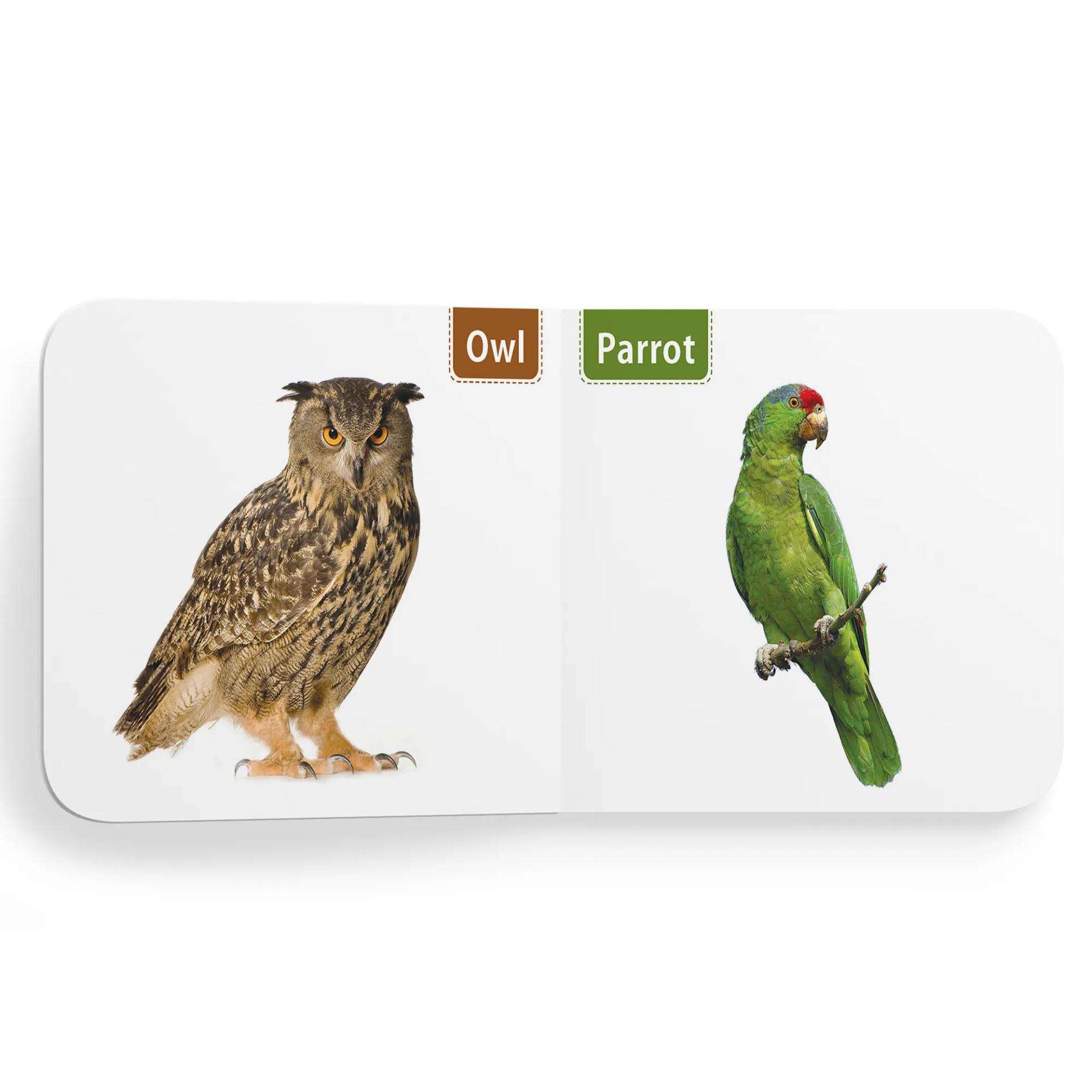 My First Tiny Board Books - Set Of 2 Books - Birds And Wild Animals & Domestic Animals For Kids Hardcover,    - 1