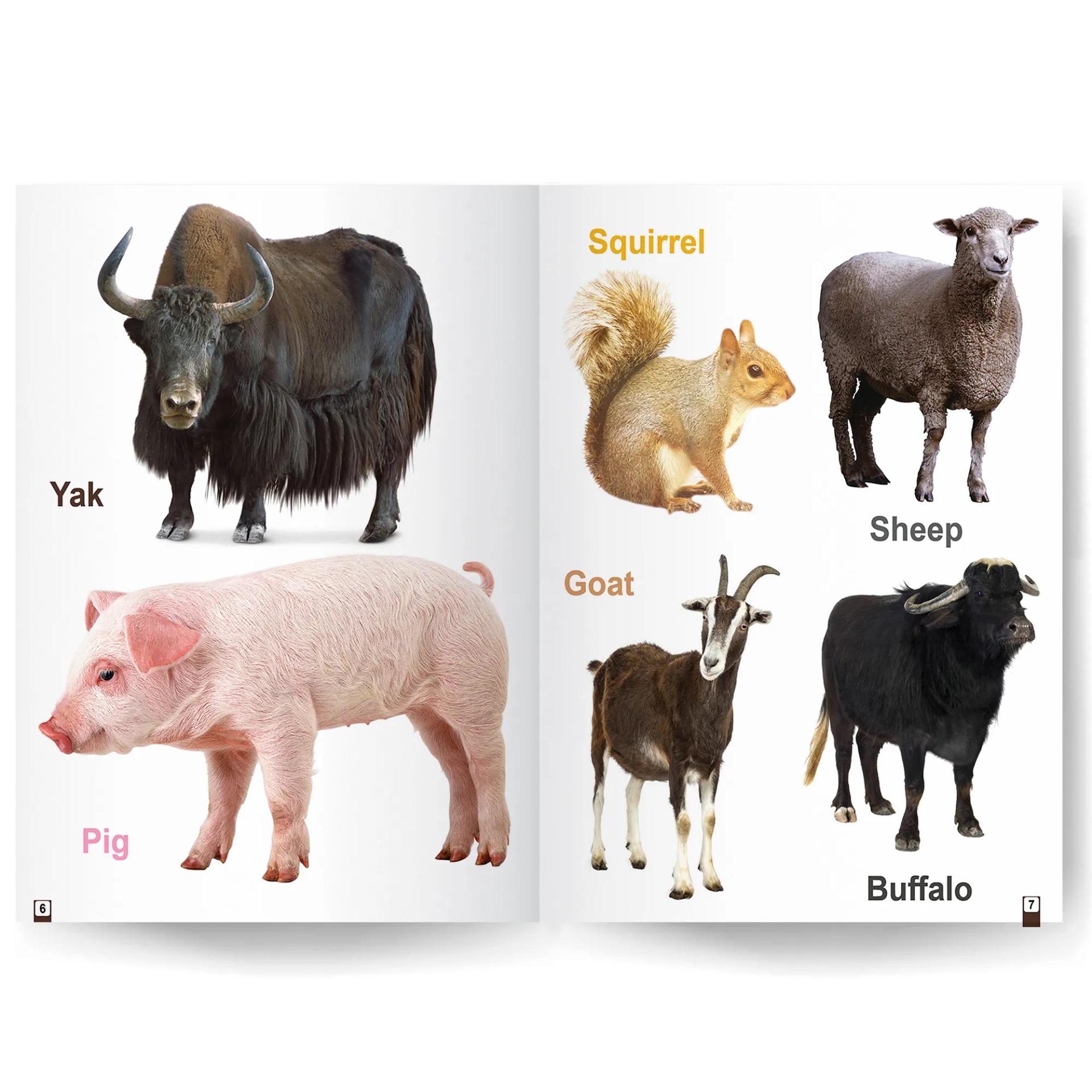 My First Library Book Of - Wild Animals And Domestic Animals Books For Kids - 5
