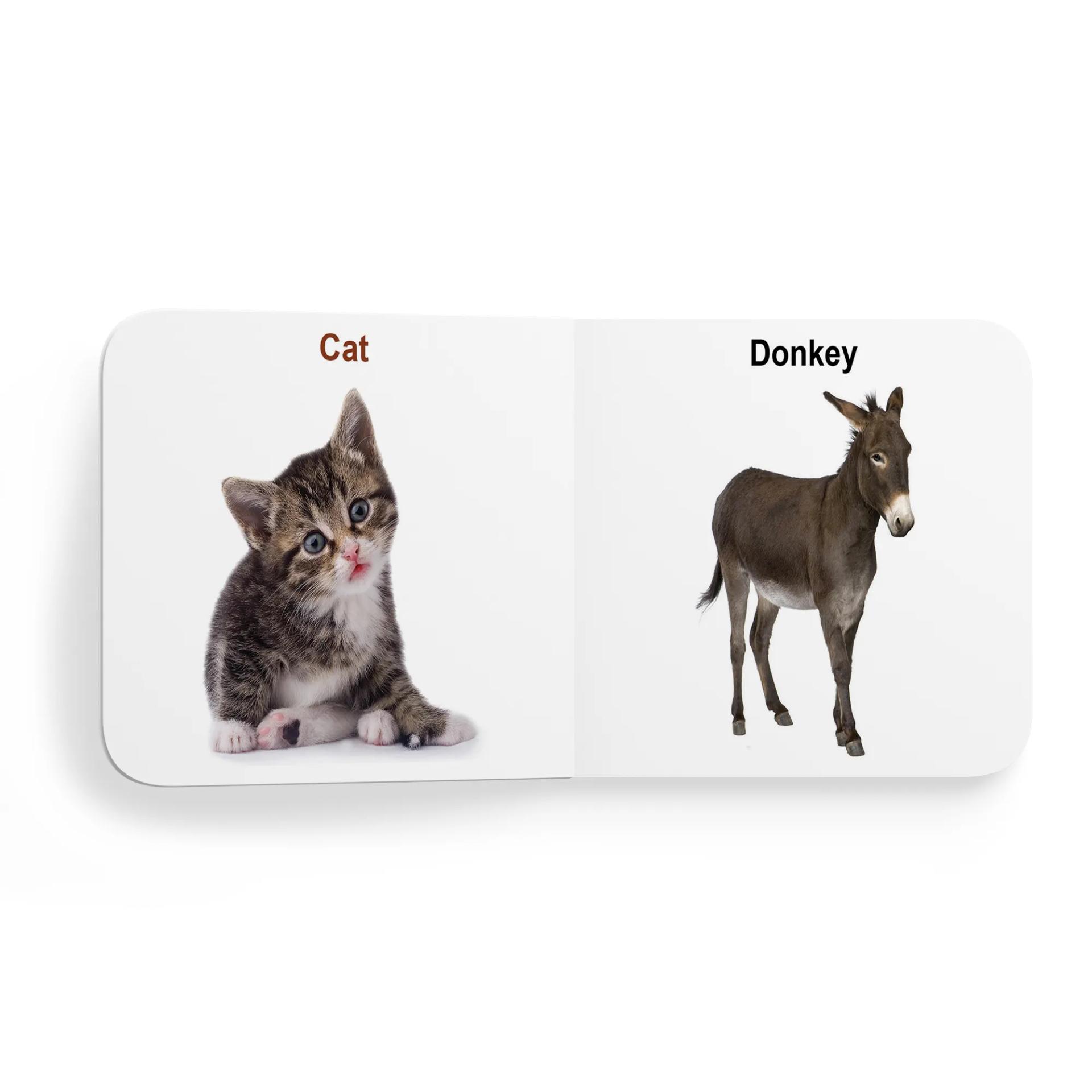 My First Tiny Board Book - Wild Animals & Domestic Animal Books For Kids - 2