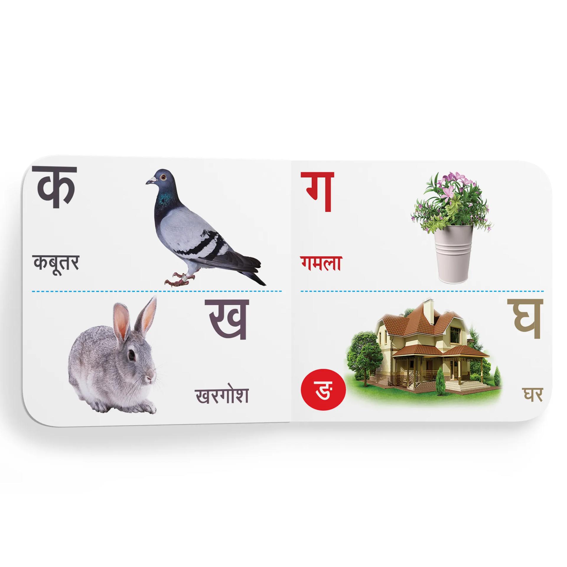 My First Tiny Board Books - Set Of 2 Books - Hindi Varnamala, And Vehicles For Kids - 2