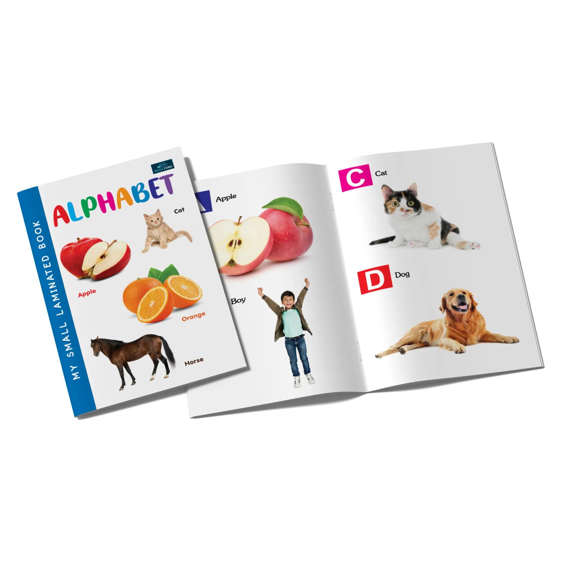My Small Laminated Books - Set Of 2 Books - Alphabet And Numbers For Kids ,    - 5