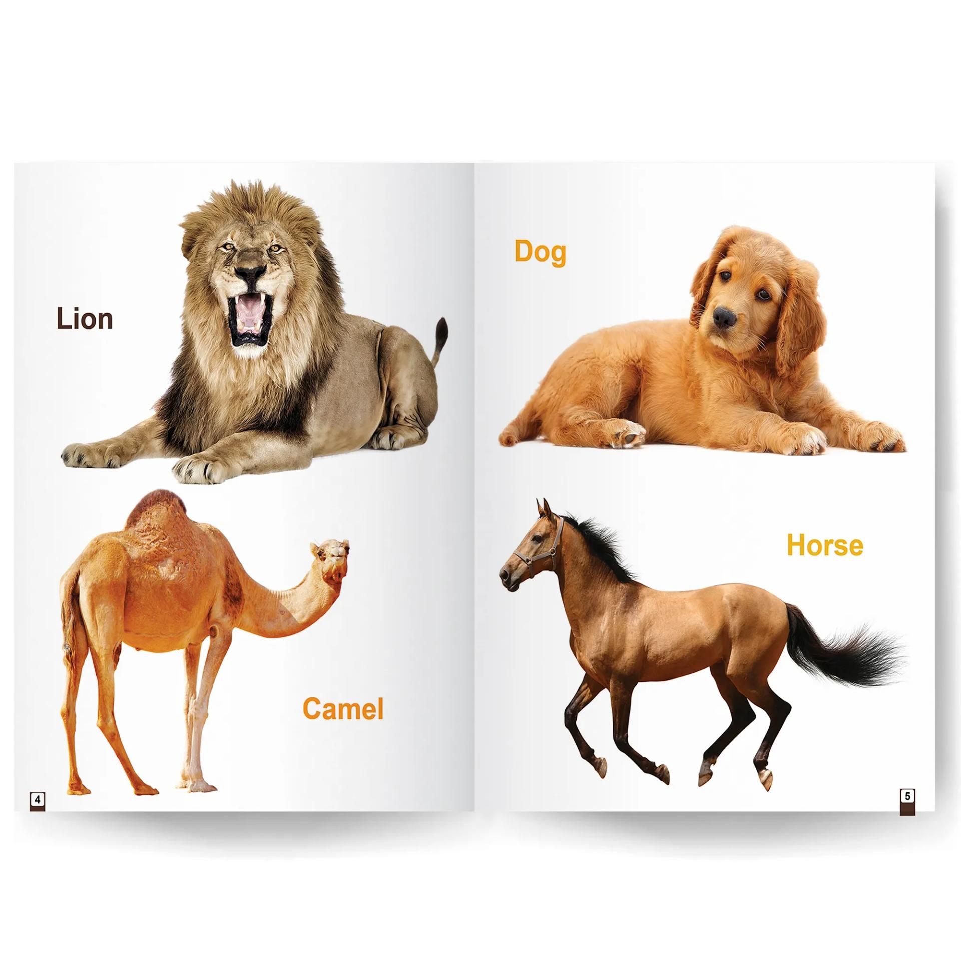 My First Library Book Of - Wild Animals And Domestic Animals Books For Kids - 6