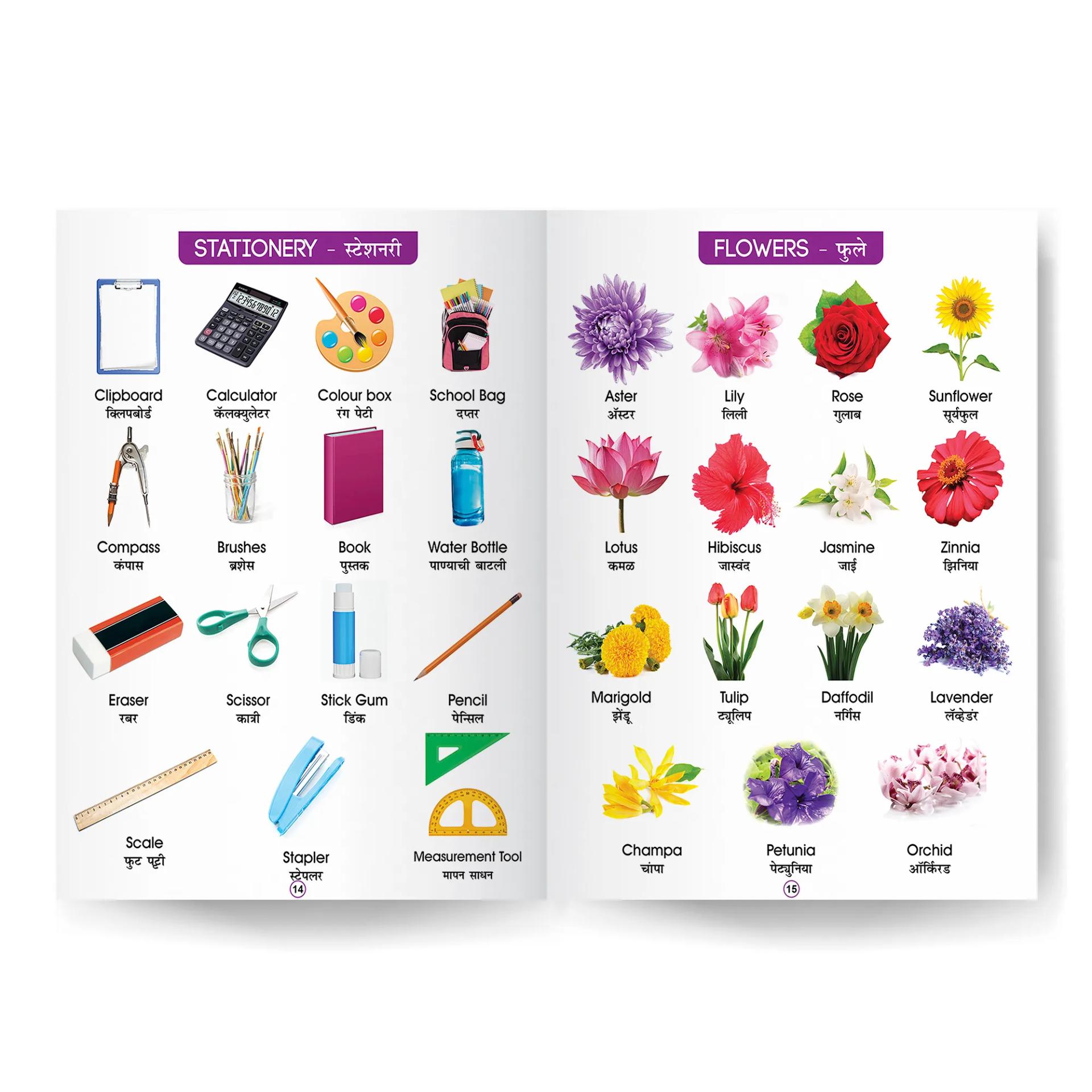 Young Minds Marathi - English All In One Book For Kids - 1