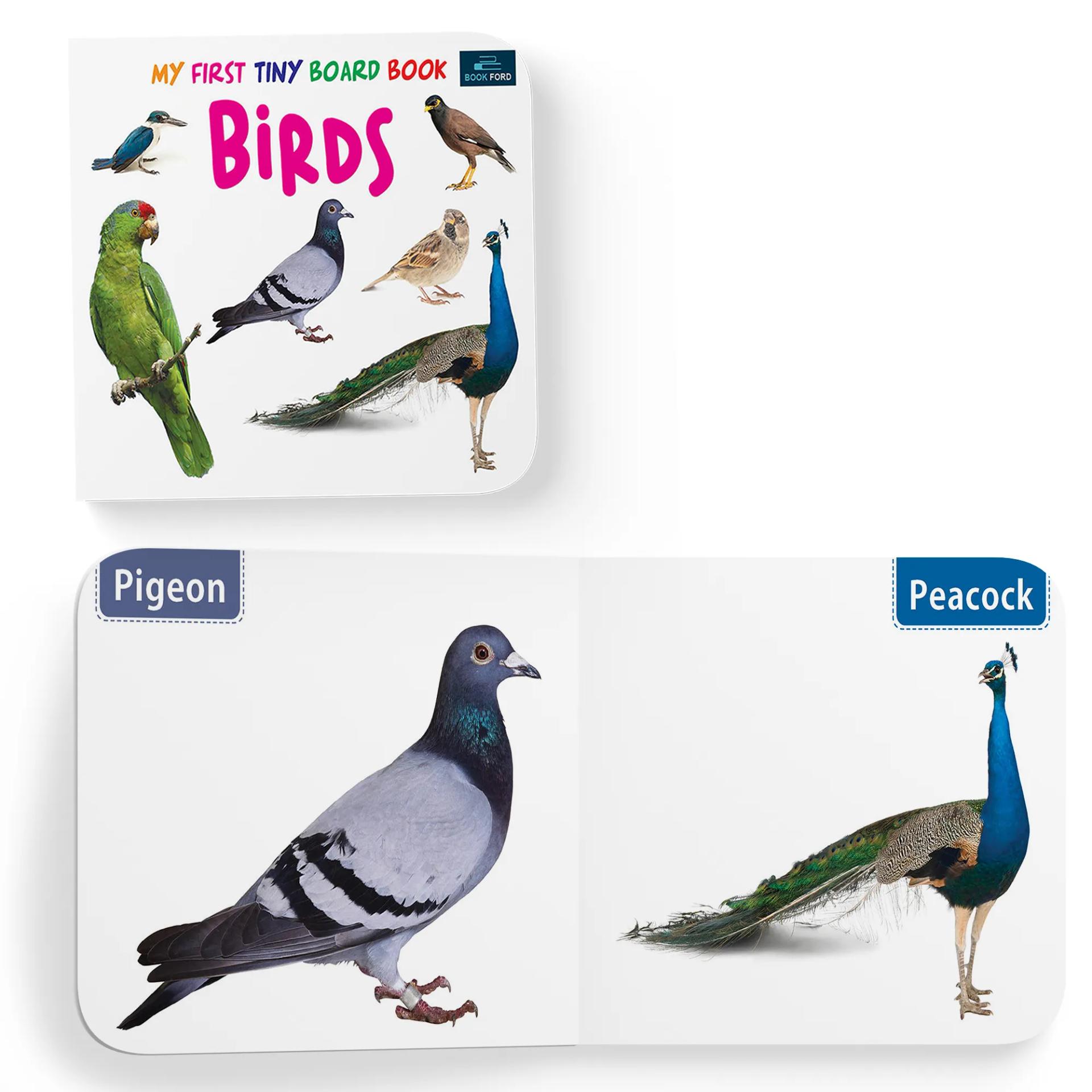 My First Tiny Board Books - Set Of 2 Books - Birds And Wild Animals & Domestic Animals For Kids Hardcover,    - 6