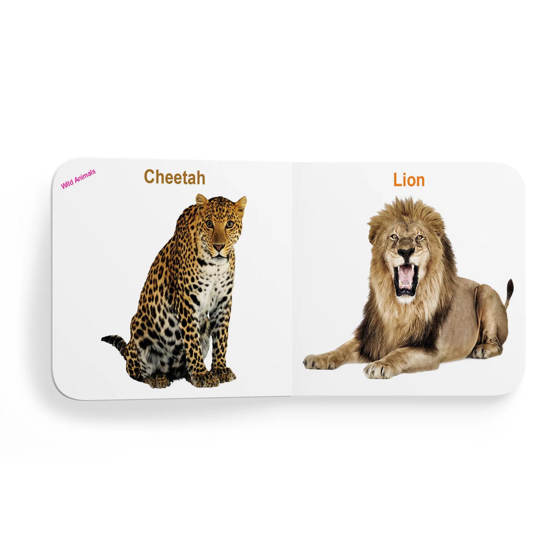 My First Tiny Board Book - Wild Animals & Domestic Animal Books For Kids - 1