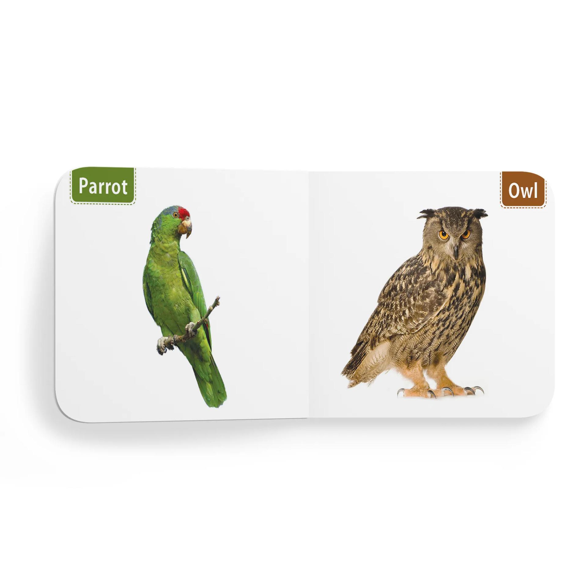 My First Tiny Board Book - Birds Books For Kids Board Book,    - 2